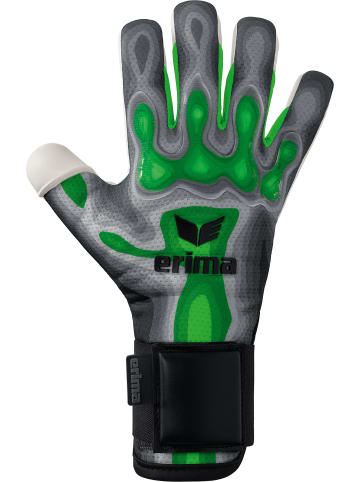 erima Erwachsene Torwarthandschuhe in grau