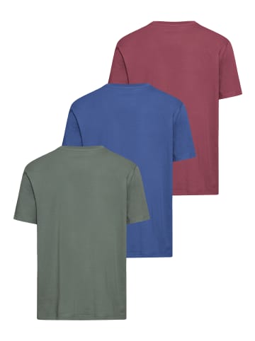 Man's World T-Shirt in grün-blau-dk-rot