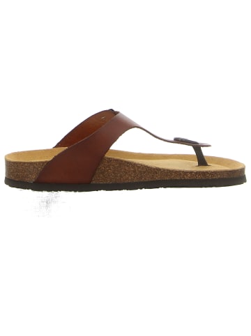 Plakton Zehentrenner in braun