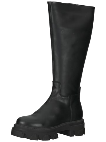 Steve Madden Stiefel in Schwarz