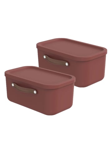 Rotho 2er-Set Kiste mit Deckel Maloja 12l in Iron rot