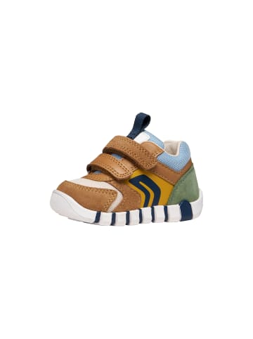 Geox Sneaker Kind aus Leder Lupidoo B.D Suede Mesh Braun