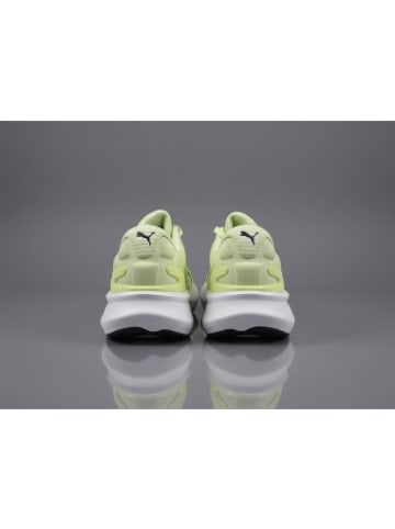 Puma Sneaker Scend in Grün