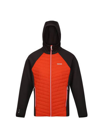 Regatta Softshelljacke Hybrid Andreson VII in Orange