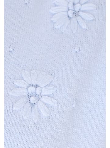 ebeeza Women Sweater in Ice Blue