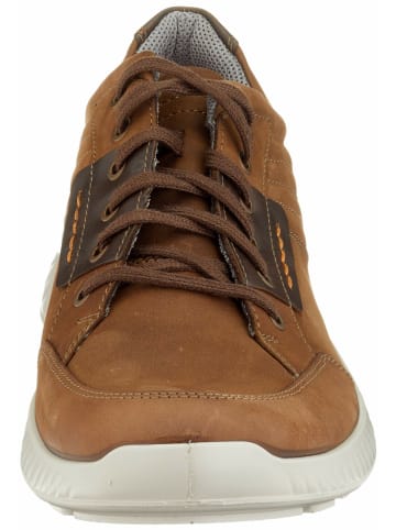 Jomos Sneaker für Herren in braun