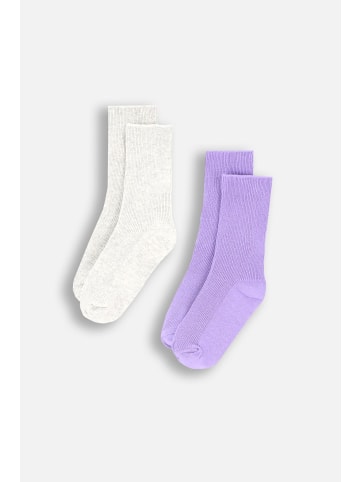 Coccodrillo Socken in bunt