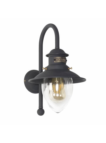 Licht-Erlebnisse Außen Wandlampe (B)20 x (H)36 cm in Bronze dunkel matt Klar