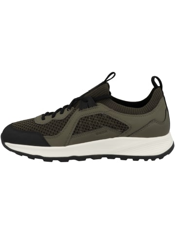 Geox Sneaker low U Terrestre A in gruen