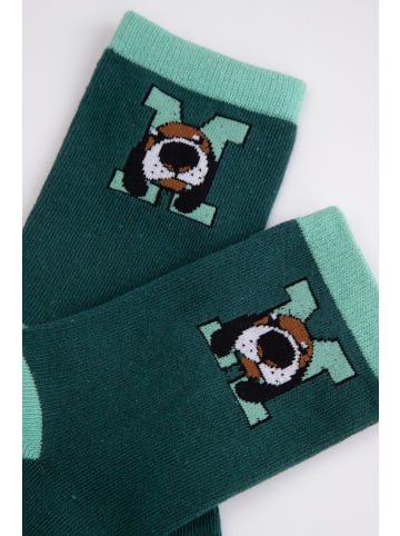 Coccodrillo Socken in grün