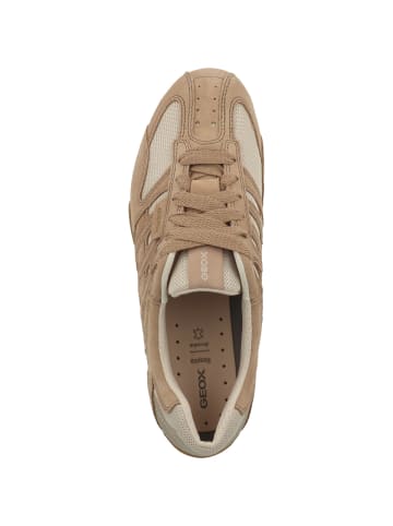 Geox Sneaker low D Snake in hellbraun