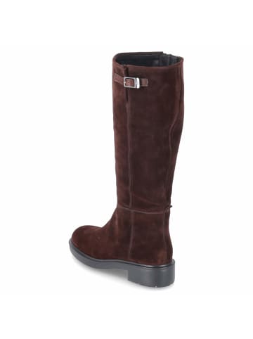 Högl Stiefel in braun