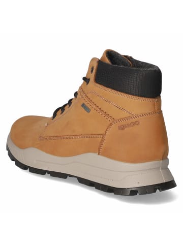 Igi&Co Schnürstiefel in braun