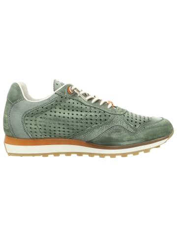 Cetti Sneaker in dunkelgrün