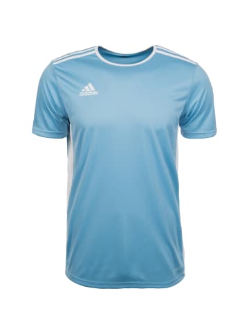 adidas Performance Fußballtrikot Entrada 18 in hellblau / weiß