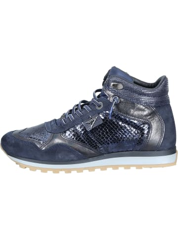 Cetti Sneakers High, Freizeit Stiefeletten, Sneakers Mid in Ante Snake Marino