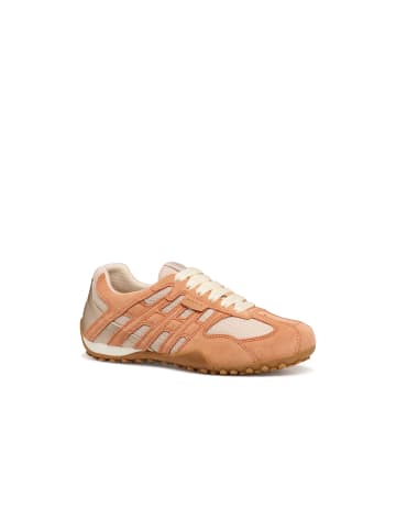 Geox Sneaker in orange