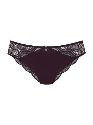 nuance Tanga in aubergine