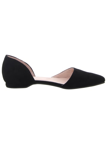 Apple of Eden Ballerinas in schwarz
