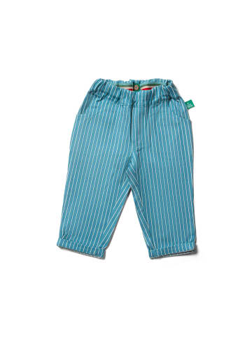 Little Green Radicals Taschenhosen in Blau
