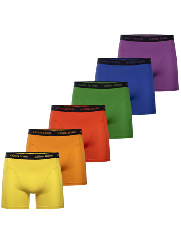 Björn Borg Boxershorts Cotton Stretch Boxer 6er Pack in multicolor