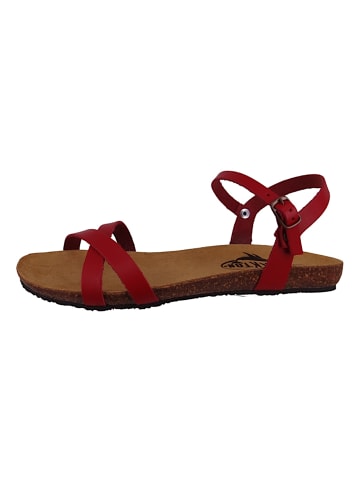 Plakton Sandalen rot