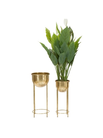 Mauro Ferretti Blumenständer in gold