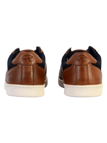 Redskins  Diplomate-Sneaker aus Leder Braun