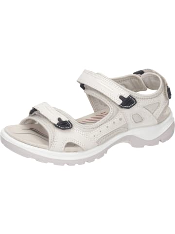 Ecco Outdoor-Sandalen in limestone