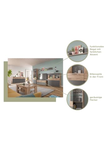 Inn.Furn TV-Unterteil Eiche, grau 130 cm, Lowboard mit Soft-Close