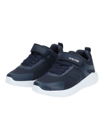 Geox Sneaker in Navy