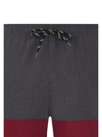 Protest " PRTFreddie in Red Sangria