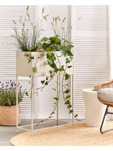 Beliani Indoor Blumentopf TAPIEN in Beige - (W) 70 x (H) 100 x (L) 30 cm