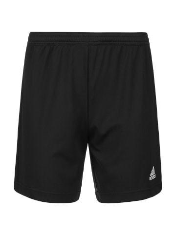 adidas Performance Trainingsshorts Entrada 22 in schwarz / weiß