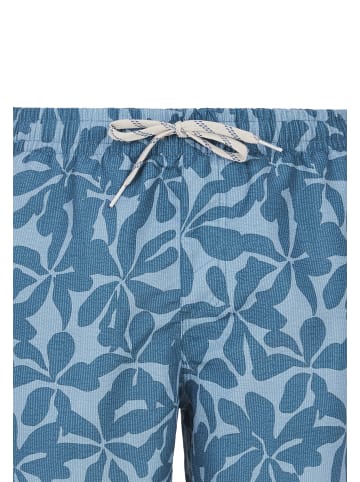 Protest " PRTBaza in Raku Blue