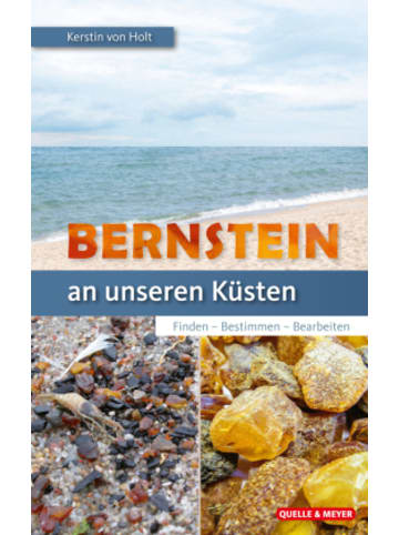 Quelle & Meyer Buch - Bernstein an unseren Küsten