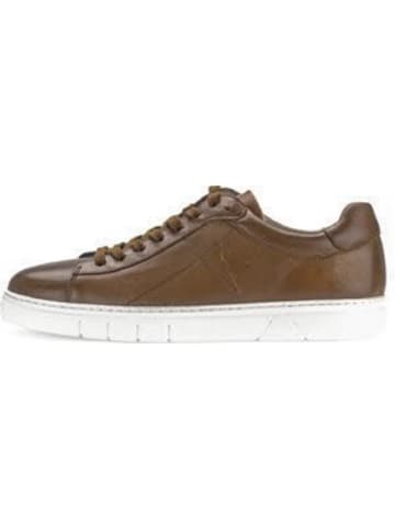 Gabor Sneaker in braun