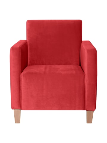 others SESSEL Karol Bezug Samtvelours Buche natur / rot