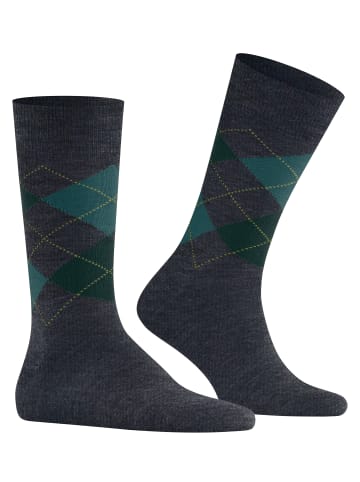 Burlington Socken Edinburgh in Cobalt