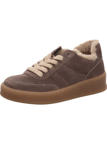 Gabor Sneaker Low in taupe