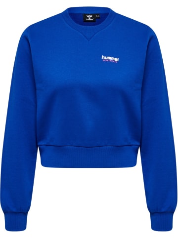 Hummel Hoodie "Hmllgc Shai Short Sweatshirt" in Blau