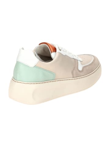 Gabor Sportliche Schnürschuhe in Beige