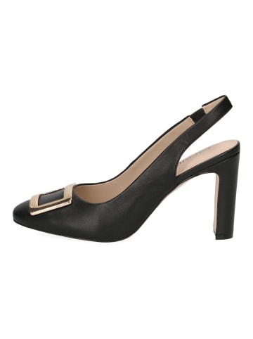 Caprice Pumps in Schwarz