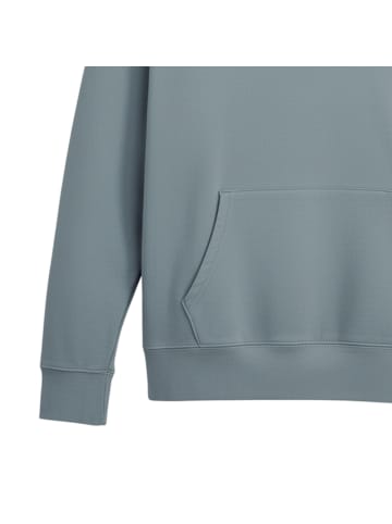 Levi´s Sweatshirt 1er Pack in Blau (Lead)