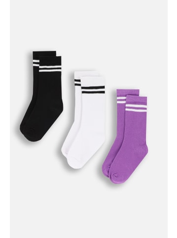 Coccodrillo Socken in bunt