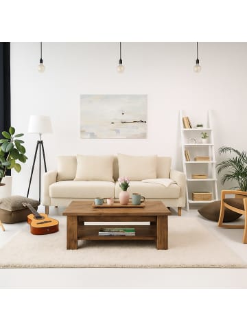 relaxdays Couchtisch in Braun - (B)100 x (H)43,5 x (T)50 cm