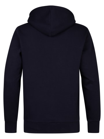 Petrol Industries Artwork Hoodie Yankton in Blau