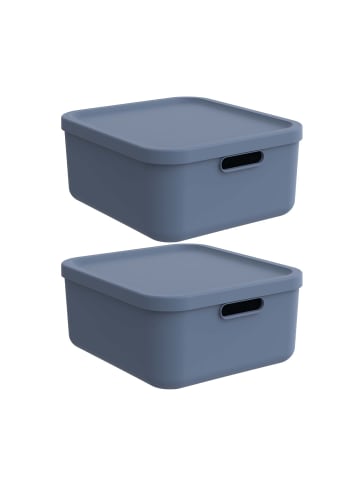 Rotho Albula Light 2er-Set Aufbewahrungskiste 20l in Horizontblau