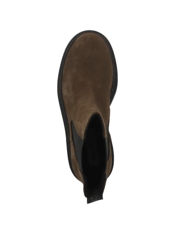 Steve Madden Chelsea Boots Glennis in dunkelbraun