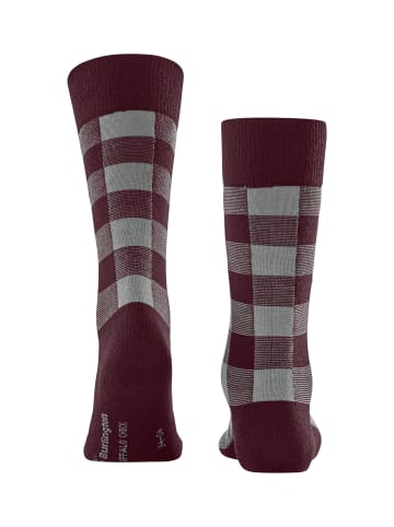 Burlington Buffalo Check Socke in Oxford